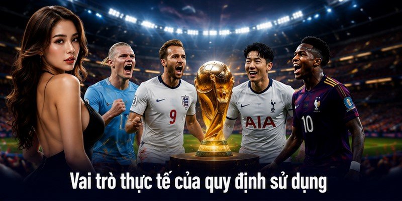 Vai trò thực tế của quy định sử dụng