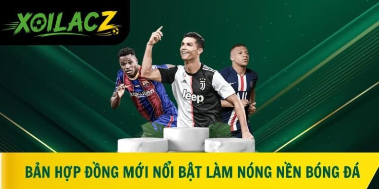 bản hợp đồng mới