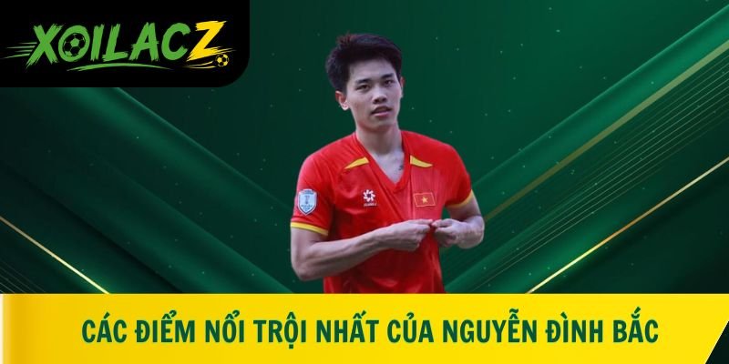 Các điểm nổi trội nhất của Nguyễn Đình Bắc