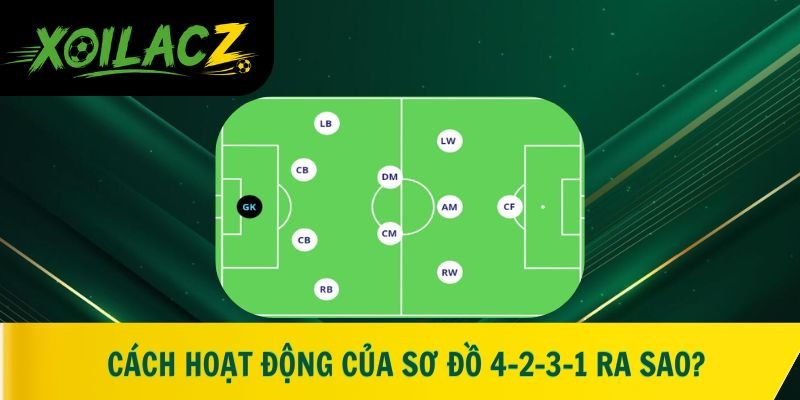 Cách hoạt động của sơ đồ 4-2-3-1 ra sao?